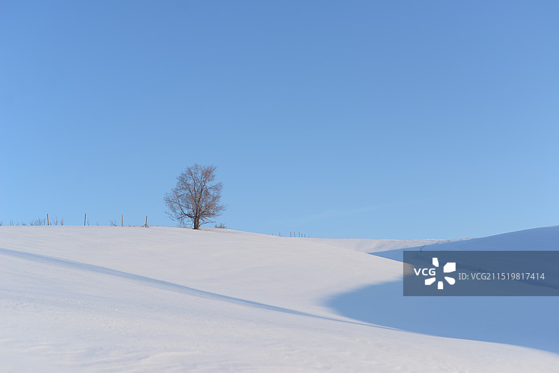 冬季雪景图片素材