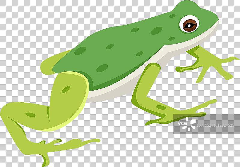 水蛙扁平风格图标图片素材