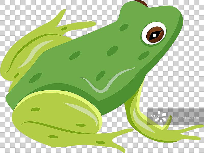 虎纹蛙扁平风格图标图片素材