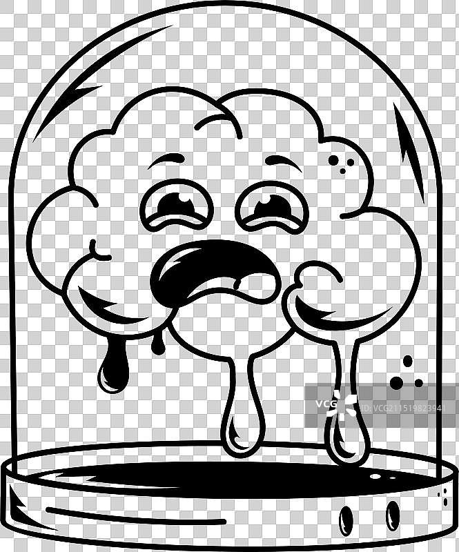 保存完好的大脑图片素材