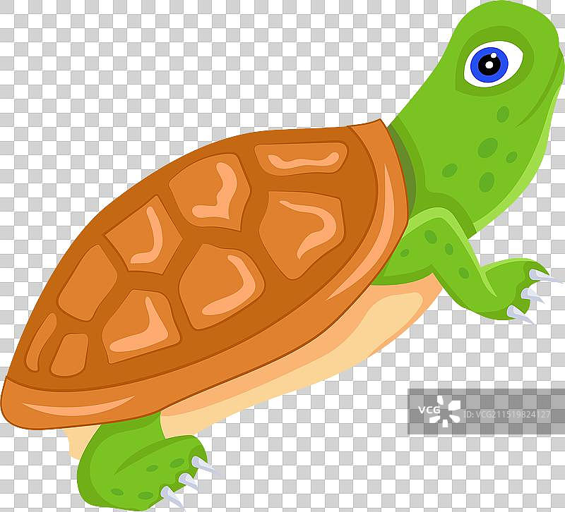 箱龟扁平图标图片素材