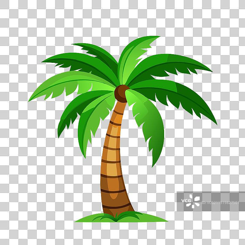 白色背景上的扁平椰子树图片素材