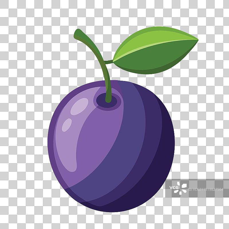 白色背景上的黑李子图片素材