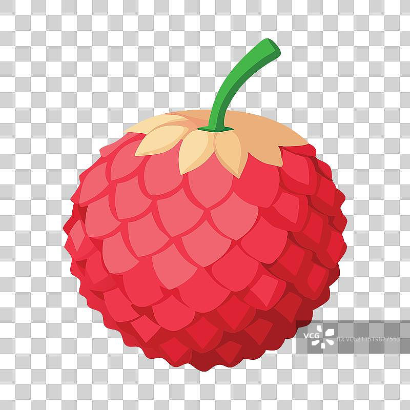 白色背景上的荔枝果实图片素材