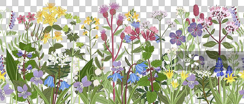野花无缝图案图片素材
