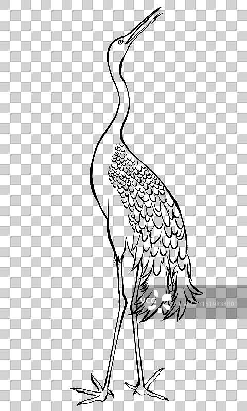 站立的丹顶鹤国风手绘插画元素图片素材