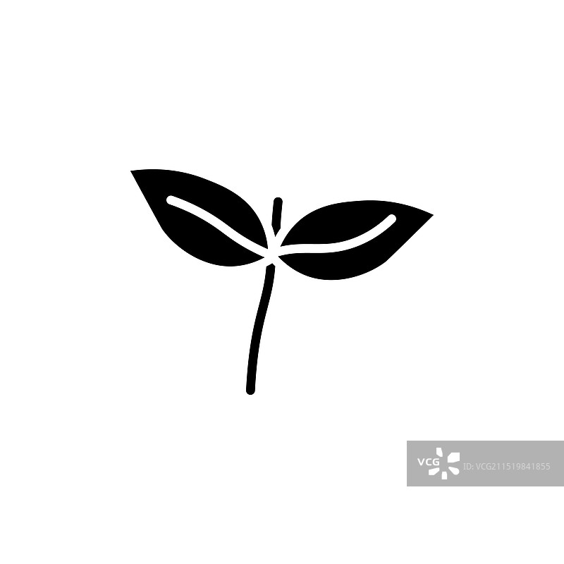 白色背景上的罗勒线条图标图片素材