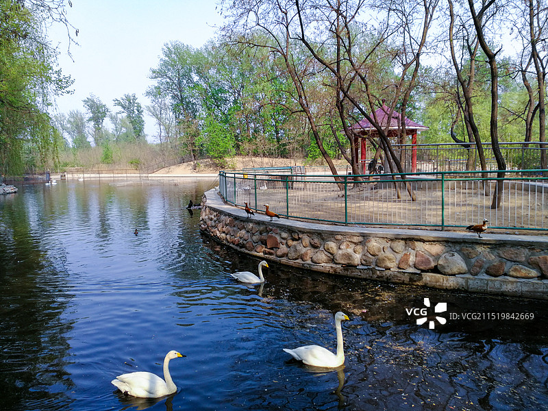 秦皇岛野生动物园图片素材