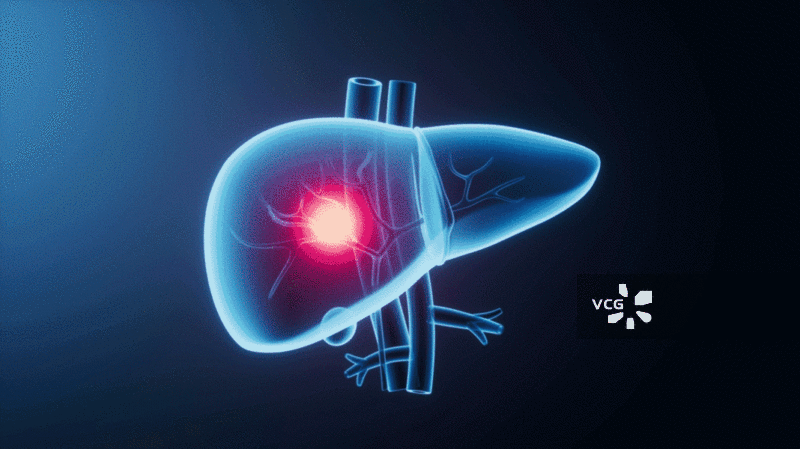 透明生物医学肝脏器官三维渲染图片素材