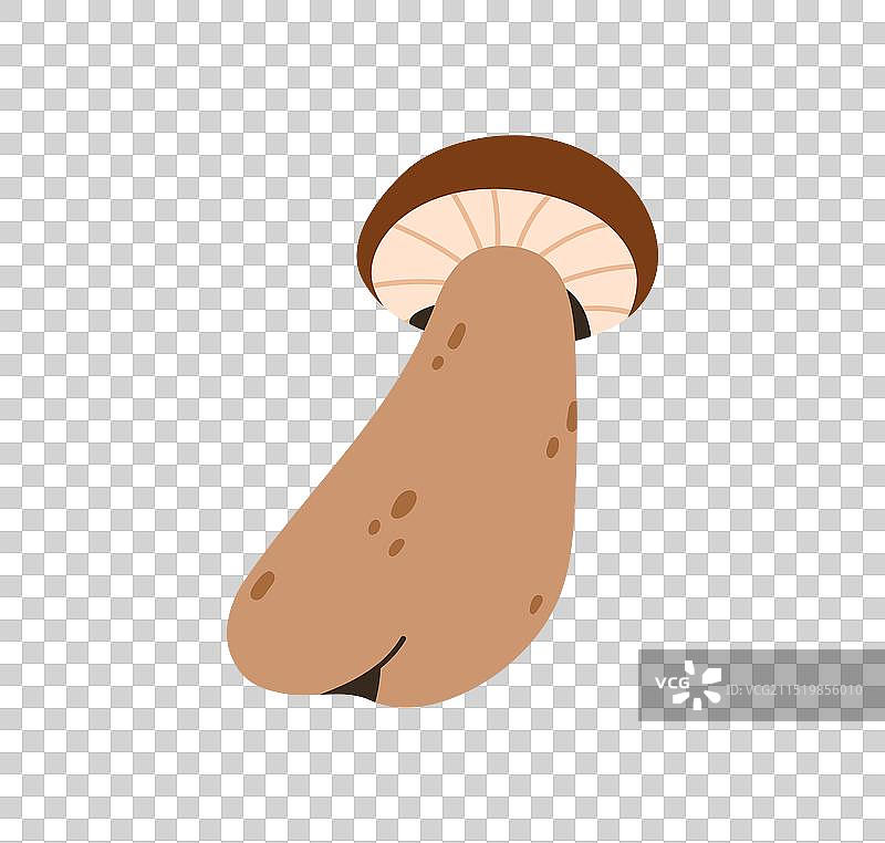 森林蘑菇牛肝菌图标图片素材