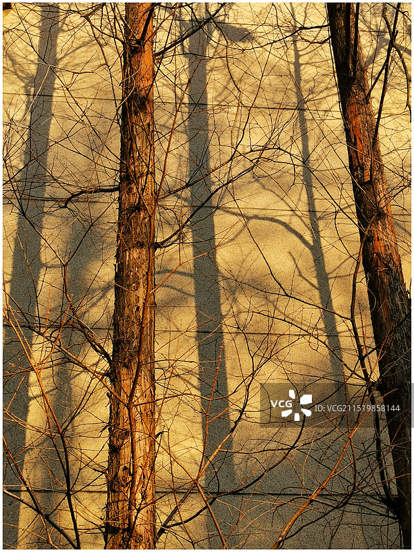 冬日暖阳33图片素材