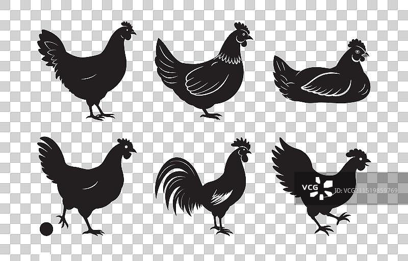 母鸡轮廓剪影图案图片素材