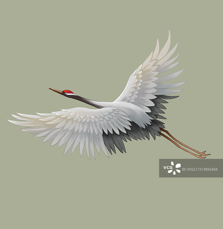 仙鹤在天空飞翔插画图片素材