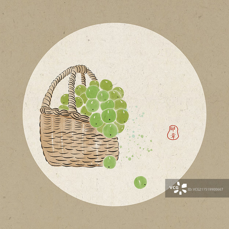 国画阳光玫瑰葡萄静物手绘插画图片素材