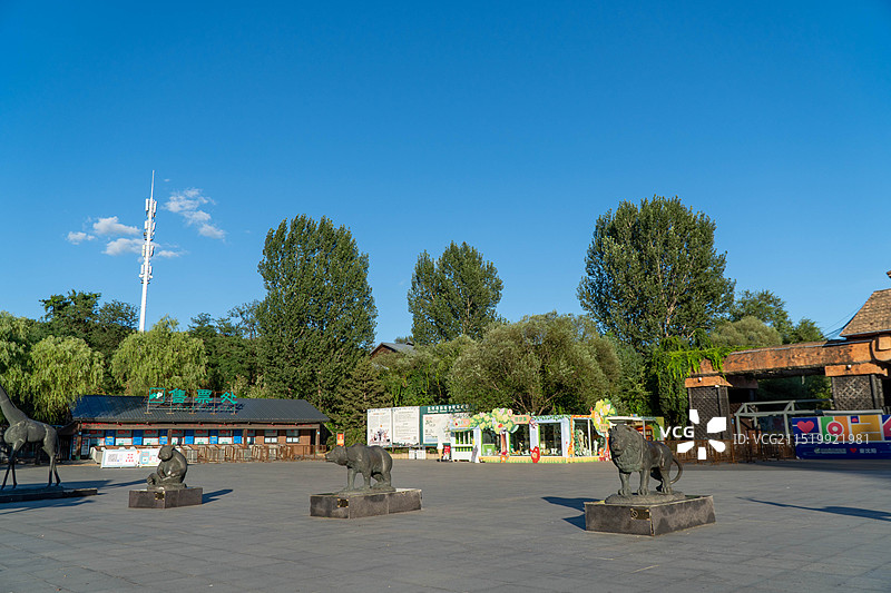 沈阳森林动物园图片素材