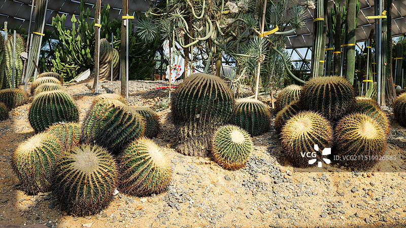 苏州市大阳山国家森林公园图片素材