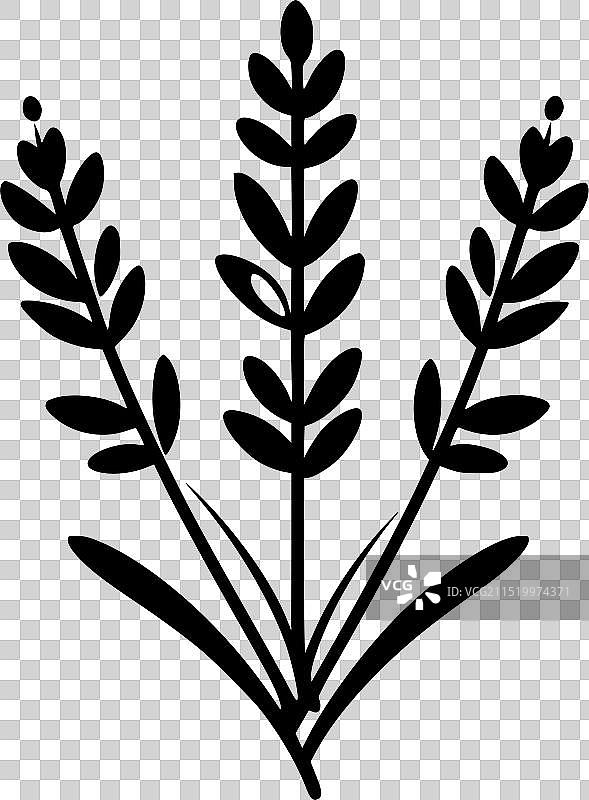 薰衣草极简剪影图片素材