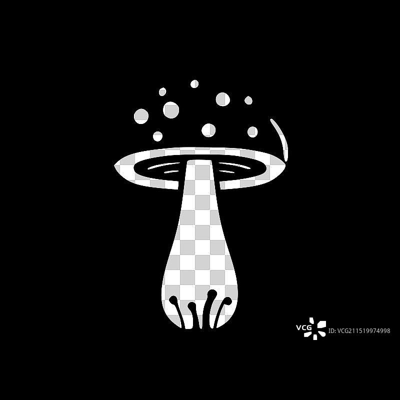 黑白蘑菇图片素材