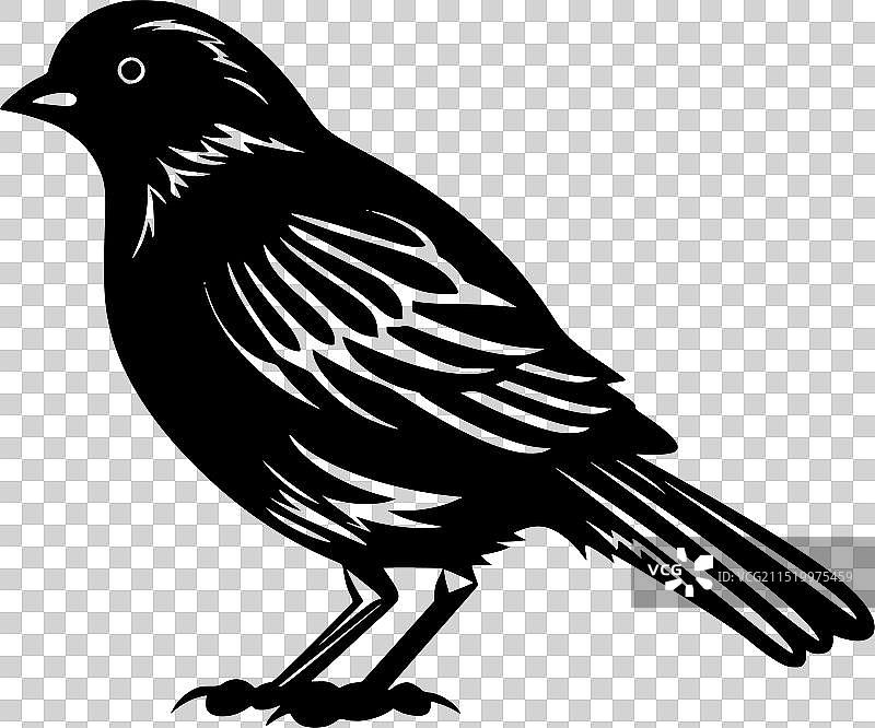 高品质鸽子logo，适用于T恤图片素材