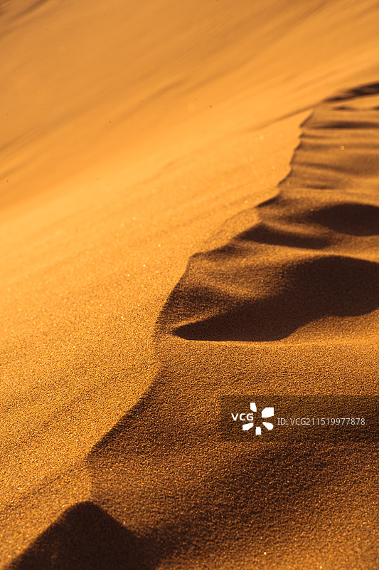 日落时沙漠特写图片素材