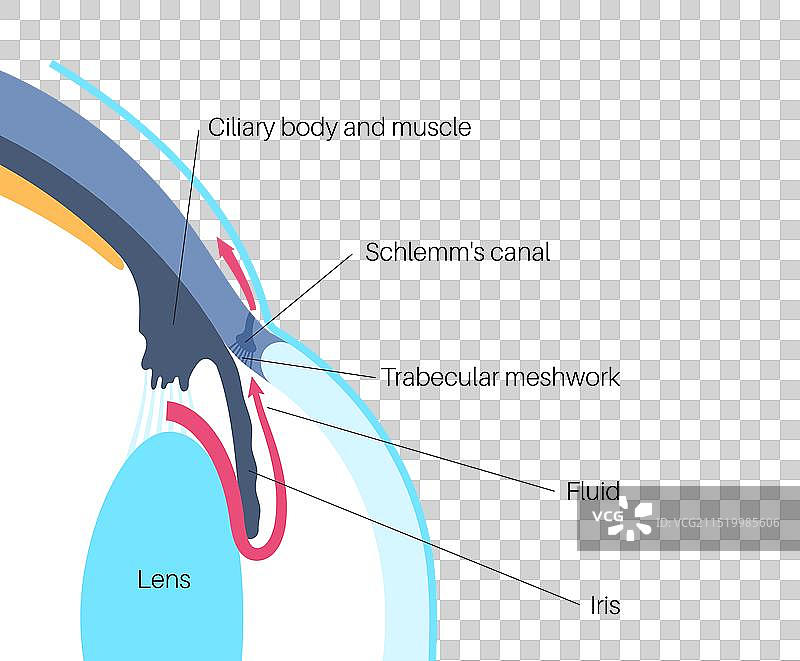 眼睛里的液体图片素材