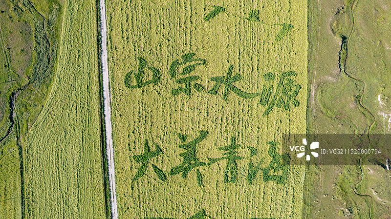 绿色景观中的文字图片素材