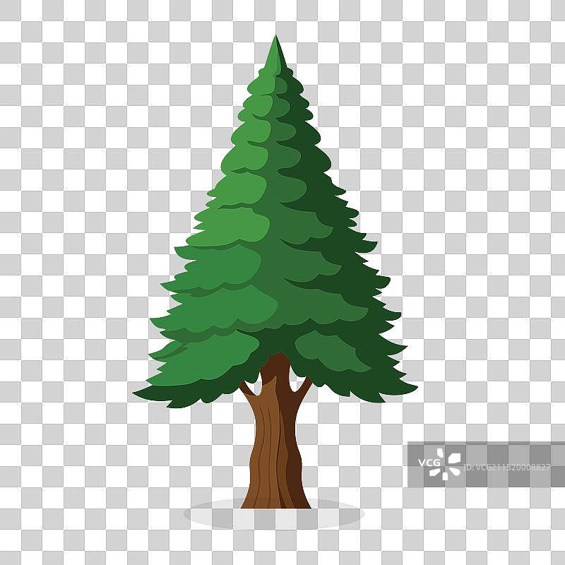 白色背景上的扁平柏树图片素材