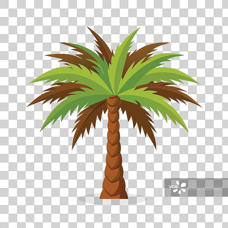 白色背景上的椰枣树扁平风格图片素材