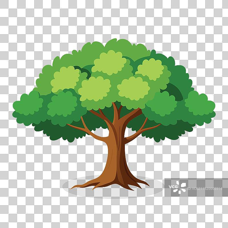 白色背景上的扁平风格橡树图片素材