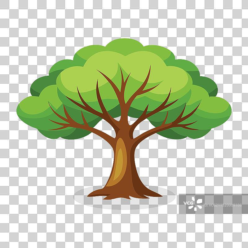 菩提树扁平风格白色背景图片素材