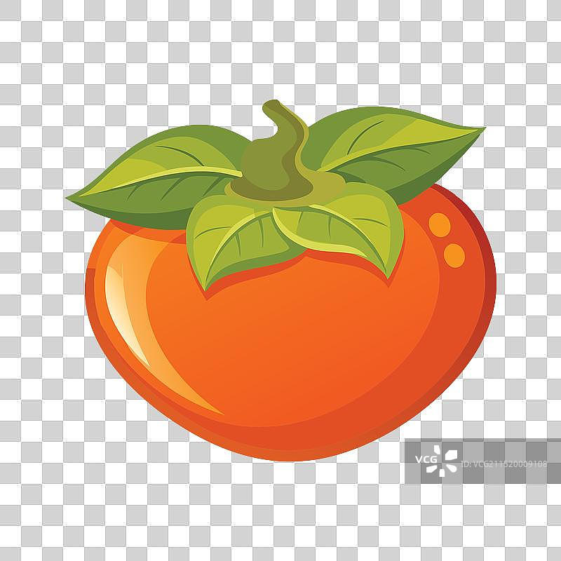 白色背景上的柿子图片素材