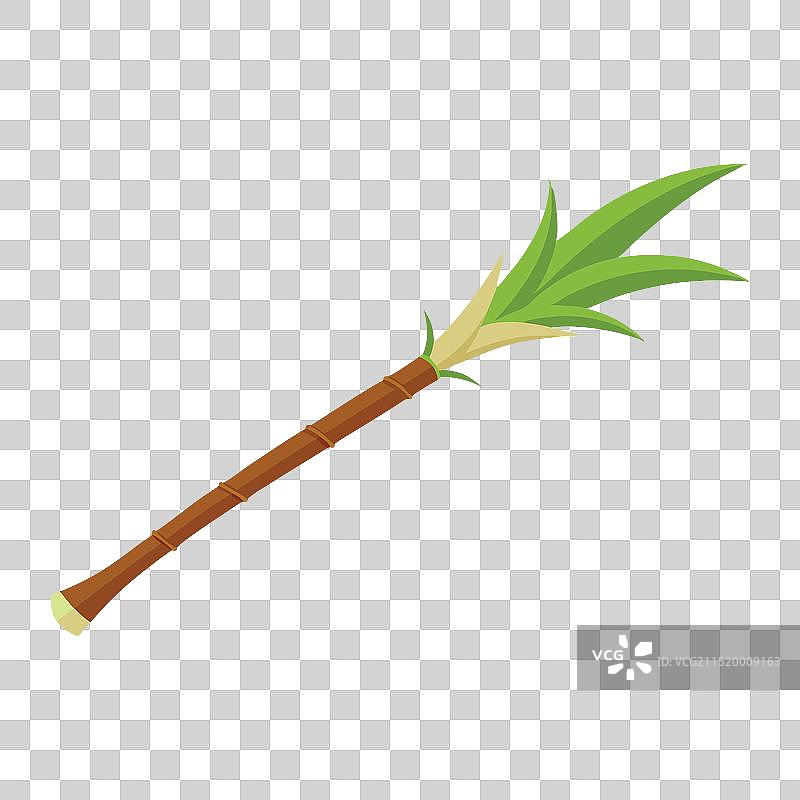 白色背景上的甘蔗图片素材