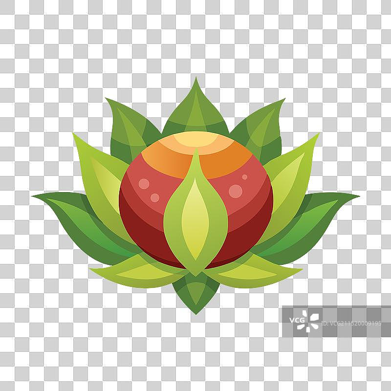 白色背景上的荸荠图片素材