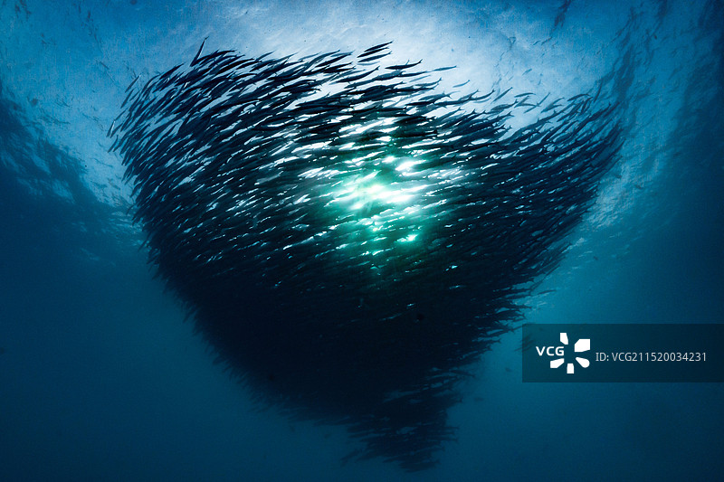 水下摄影图片素材