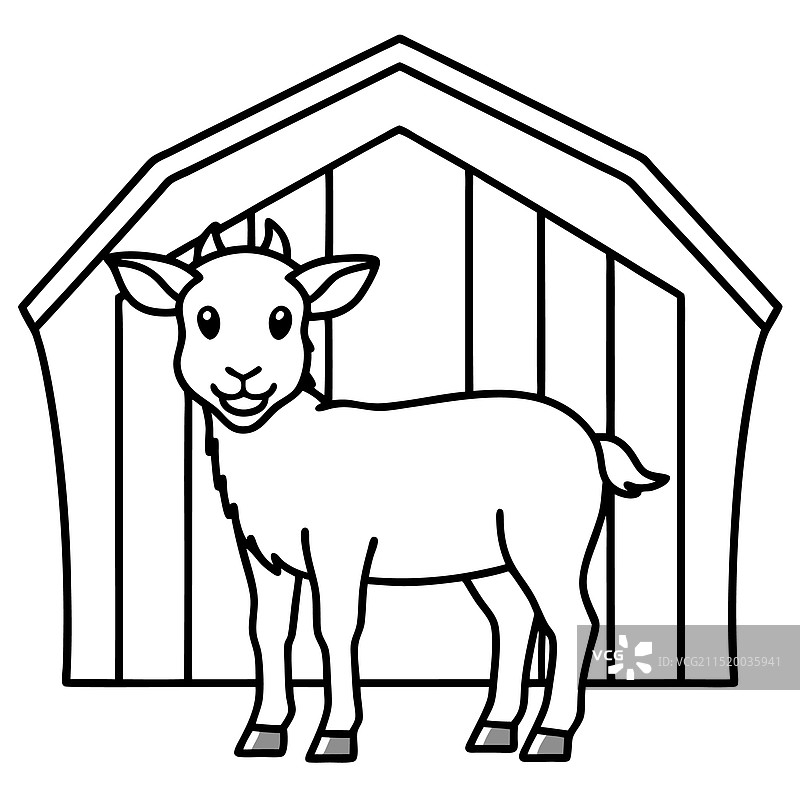 谷仓里的小山羊图片素材