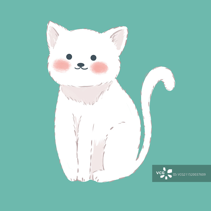 一只白色小猫咪图片素材