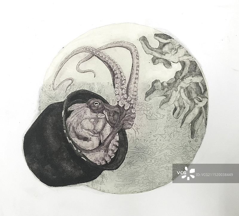 《南海记——捞鱆》图片素材