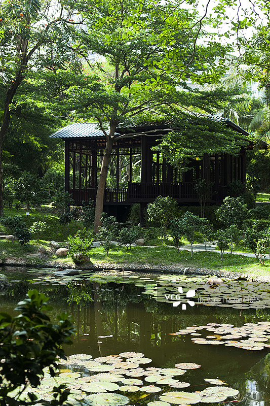 深圳园博园图片素材