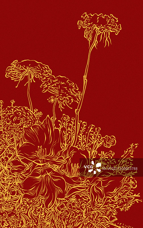 新年祝福-富贵-鲜花-线稿-吉祥纹样背景图图片素材
