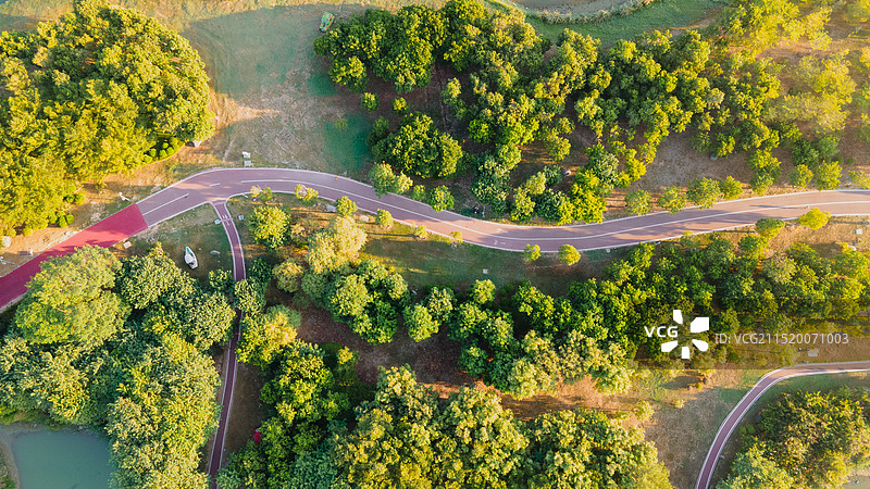 航拍莆田土海湿地公园图片素材