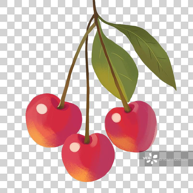 樱桃插画图片素材