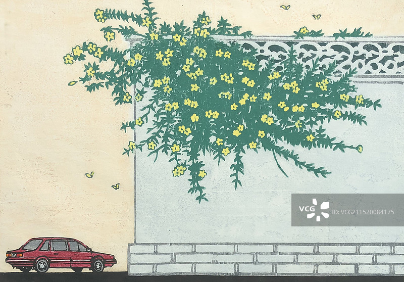 《家乡黄花分外香》图片素材