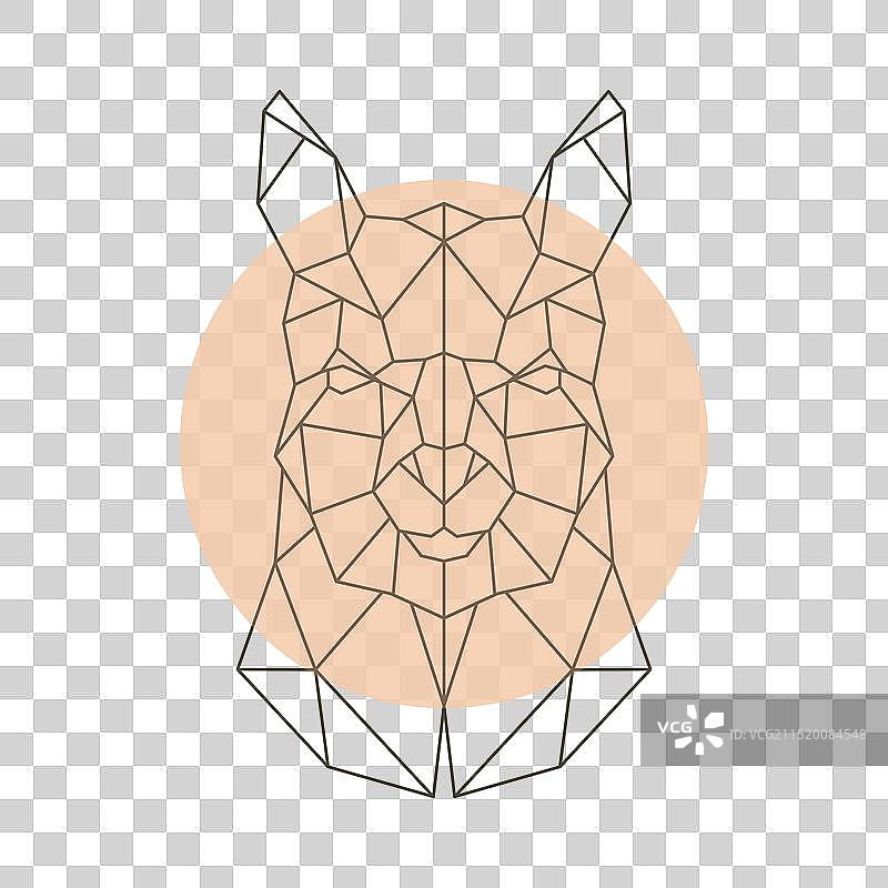 几何抽象的羊驼头部图片素材