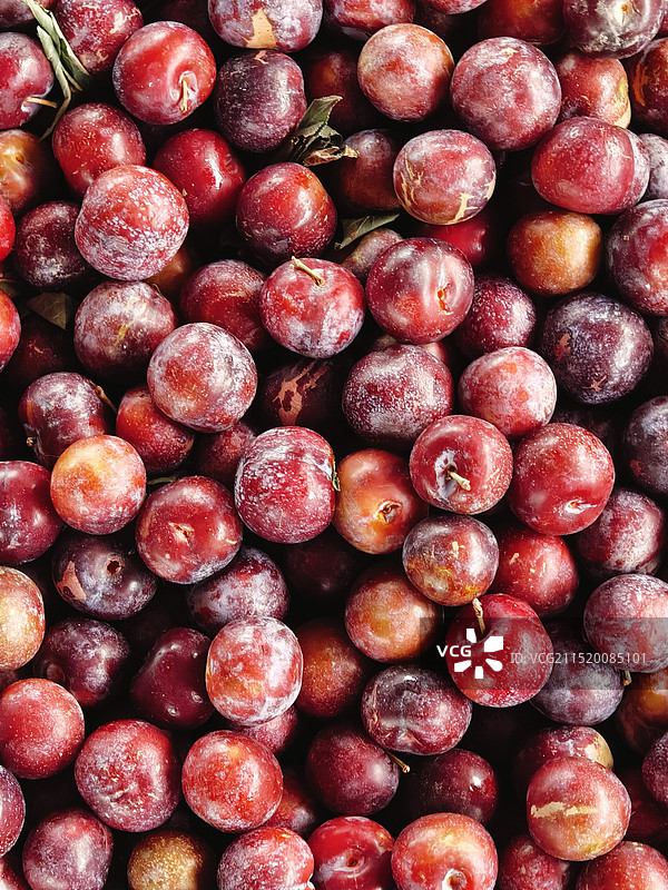 新鲜的李子图片素材