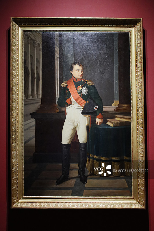 拿破仑·波拿巴皇帝站立肖像图片素材