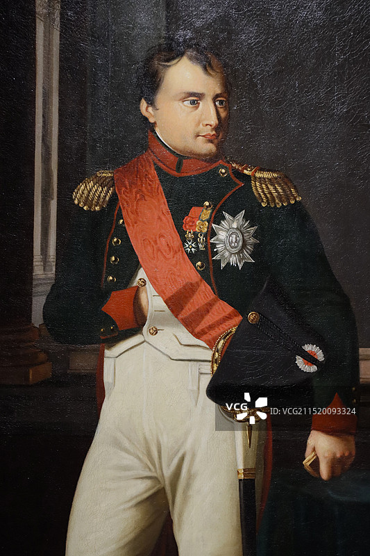 拿破仑·波拿巴皇帝站立肖像图片素材