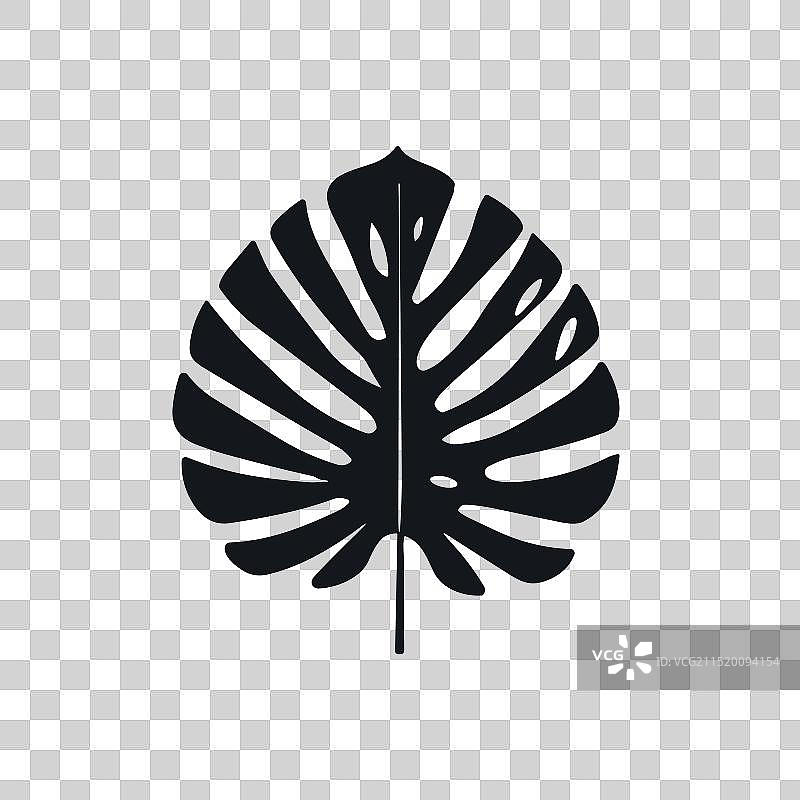 棕榈夏季热带叶剪影丛林图标图片素材