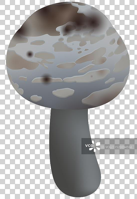 云南致幻毒蘑菇标本卡通元素素材饮食食物食材菌类生长插画图片素材