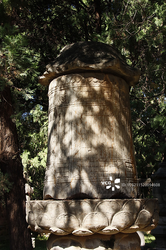 济南灵岩寺墓塔林图片素材
