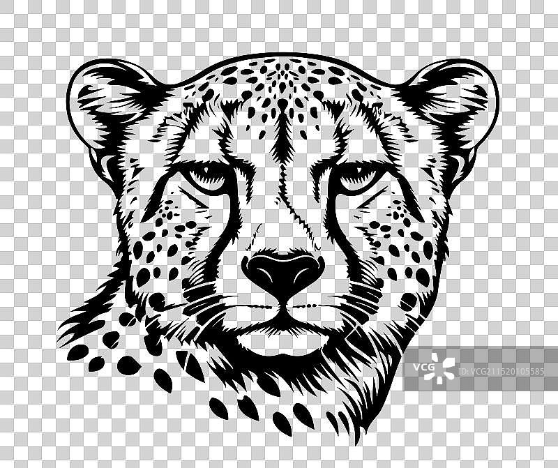 卡通猎豹头像标志图片素材